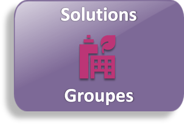 Solutions Groupes Cogis Logiciels Et Experts En Consolidation Et